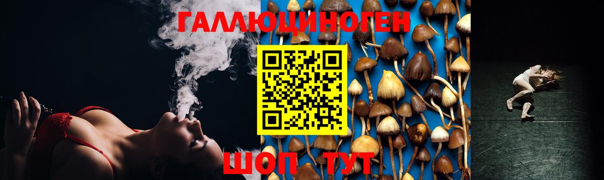 Галлюциногенные грибы Cubensis  Галлюциногенные грибы Cubensis  Вход с VPN  Тельмана 